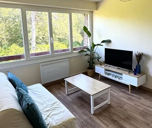 Apartment L Ecume Doree